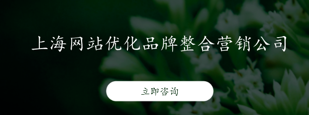 上海網站優化品牌整合營銷公司