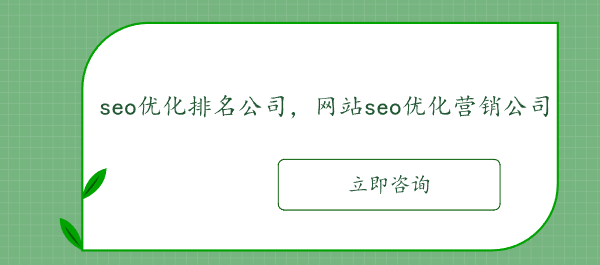 seo優化排名公司，網站seo優化營銷公司