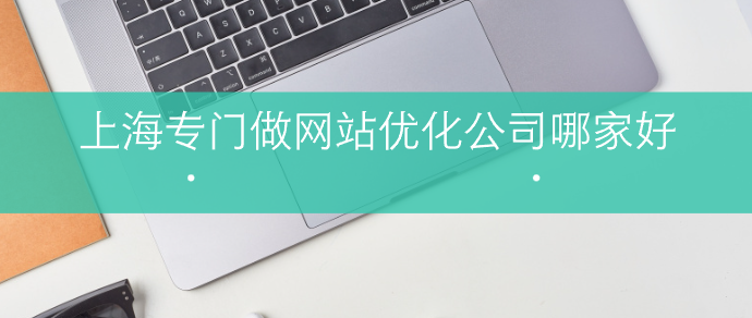 上海專門做網站優化公司哪家好