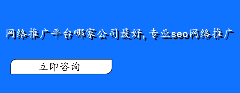 網(wǎng)絡(luò)推廣平臺哪家公司最好,專業(yè)seo網(wǎng)絡(luò)推廣